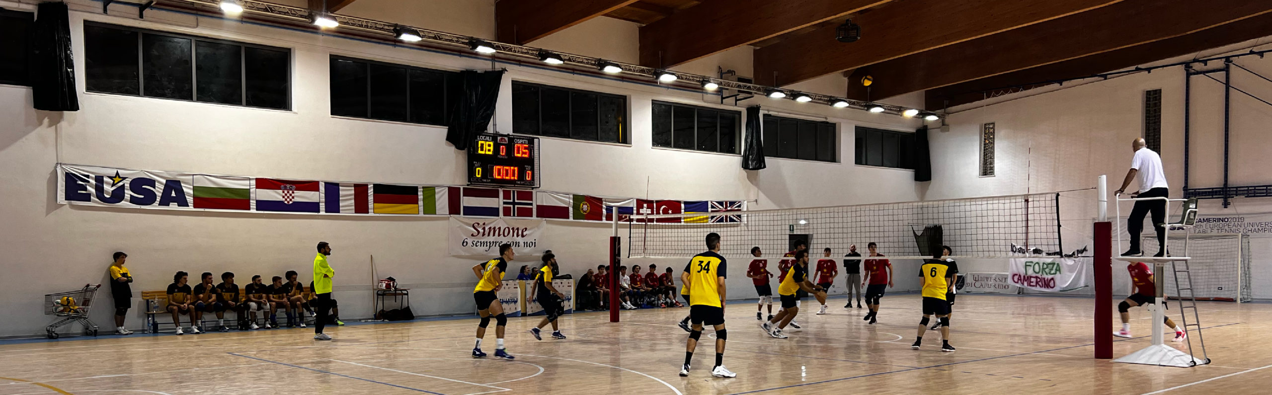 Pallavolo